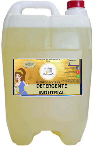 DETERGENTE INDUSTRIAL 20 LTS